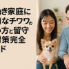 共働きの日本人夫婦がチワワと温かく触れ合うリビングの様子を16:9構図で表現したアイキャッチ画像。安心感と家庭的な雰囲気で記事への興味を誘うデザイン。