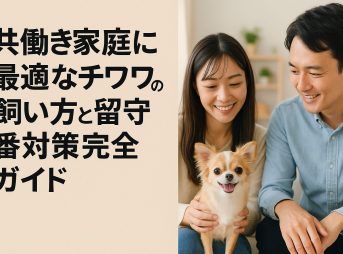 共働きの日本人夫婦がチワワと温かく触れ合うリビングの様子を16:9構図で表現したアイキャッチ画像。安心感と家庭的な雰囲気で記事への興味を誘うデザイン。