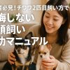 日本人女性がリビングで2匹のチワワ（成犬と子犬）と穏やかに過ごす様子をリアルな写真で表現した横長16:9のアイキャッチ画像。記事タイトル『初心者必見！チワワ 2 匹目 飼い方で後悔しない多頭飼い成功マニュアル』が中央上部に配置され、読者の興味を引くデザイン。